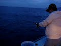 一つテンヤ真鯛動画