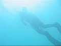 Spearfishing in Algeria7 Spearfishing in Algeria7