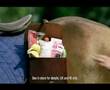 Tesco - Try a Bag for Life