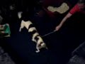 play-time.html