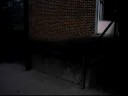 whip of ledge