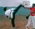 taekwondo jack la furia.....