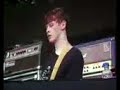 Dreaming Of You, The Coral Live at Knowsley Festival
