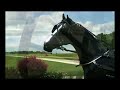 High costs hit Amish High costs hit Amish