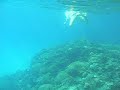 Okinawas Unterwasserwelt