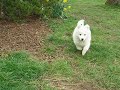 bastian-whistle.html