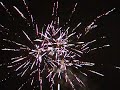 Zena-Brocade Crown & Golden Willow.AVI