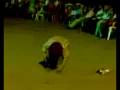 videos de Fırat_düğün.mpg