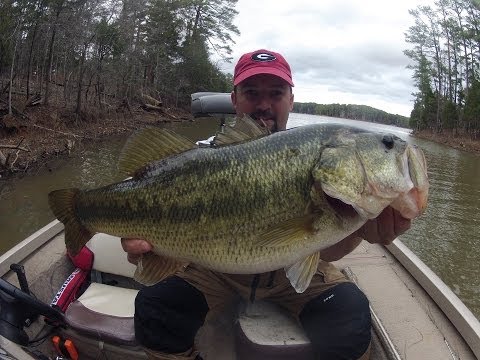 how to locate bass