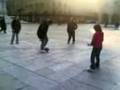 torello con la zingara