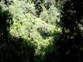 Atitlan 1st Zipline - Hugo.MOV
