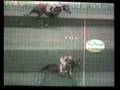 videos de Clasico DERBY NACIONAL COPA SAGA FALABELLA 2008