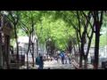 Los Hermanos Lechuga de Santa Ana El Salvador - Campo Santo.mp4