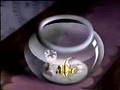 Dama y el Vagabundo (Latina) Canción de los gatos siameses