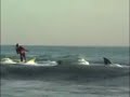 Using a shark to help you surf (INSANE!!!)