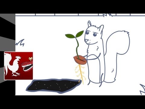 animated - Like the animated adventure? Check out all of the Rooster Teeth Podcast here: http://bit.ly/slOoBo The mean squirrel tormenting Gus' life returns in RTAA #10...