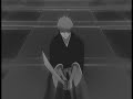 Bleach Attack! AMV