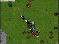 Thayena Zerm And Getesland Hunting giant spider