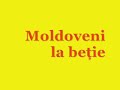 moldoveni la betie