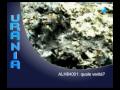 Il meteorite marziano: quela v