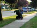 John-Deere-WHEELIES