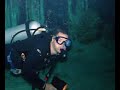 Cenote Dive - Dos Ojos Cenote Dive - Dos Ojos