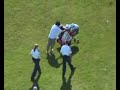 Hij doet nooit iemand kwaad en hoort eigenlijk een beetje bij Stedenwijk Almere, maar de helden van de politie verjagen hem van zijn vaste stekje. Losers!