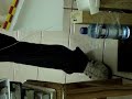 Rube Goldberg Water Self Service Project