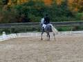 Onyx fait le con