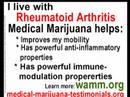The Legalization of Marijuana