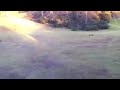 HPI BAJA 5B 2.0 BIG JUMP