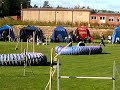 Debut Nybro