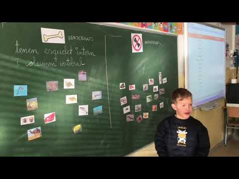 Imatge de previsualització de YouTube
