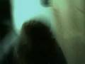 sisster molesting broter =|