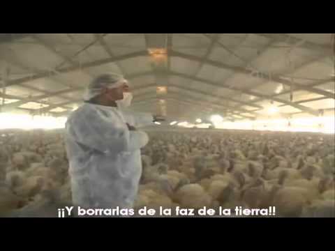 Imagen de previsualización de YouTube