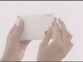 Nintendo DS-i: SD Card Demo