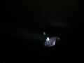 Click here to watch this video Laura Pausini @ the royal albert hall
