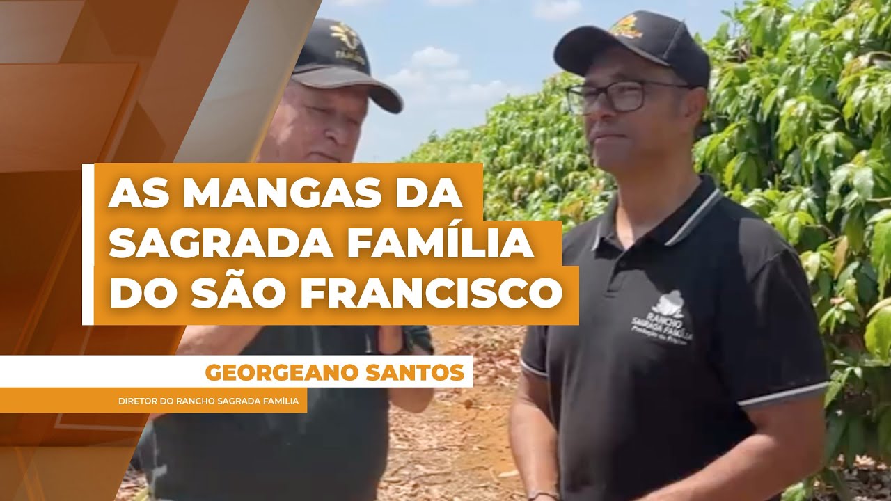 Rio São Francisco transformou a produção de mangas no rancho Sagrada Família no Vale do São...