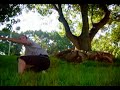 FLYING SATAS V�deo 7-Recorrido por S/C-PARKOUR TENERIFE