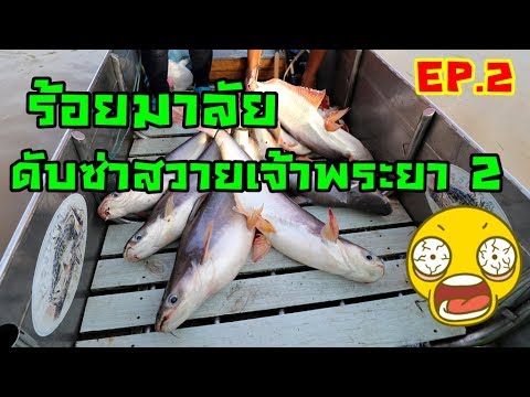 HDSD Tinh Mùi EZ9 - P.2