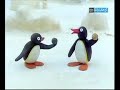 Pingu-La calamita Pingu-La calamita