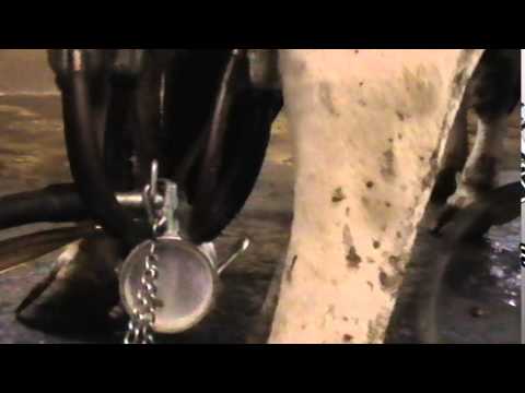 how to fasten milk flow