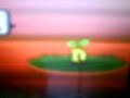 how to get sunkern en Evolution in sunflora how to get sunkern en Evolution in sunflora