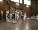 capoeira soluna laurentina