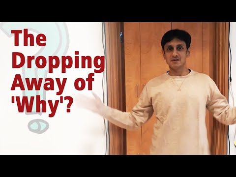 Gautam Sachdeva Video: The Dropping Away of “Why” Questions