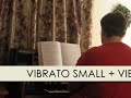 Hammond M100 Vibrato Settings