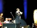 Elio e le storie tese - Collegno 2008: Sergio Conforti
