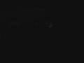 videos de Le Mans