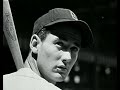 Ted Williams hitting