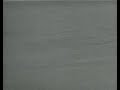 Ted Williams hitting